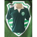 Camisa retrô AA Francana verde 1980