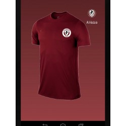 Camisa retrô Unione esportiva Arezzo