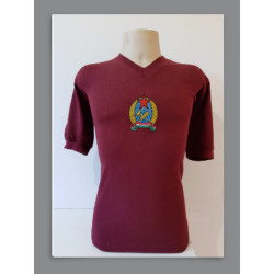 Camisa retrô Hungria roxa - 1954