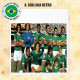 Camisa retrô Palmeiras Verde 1980