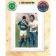 Regata retrô Goias verde logo